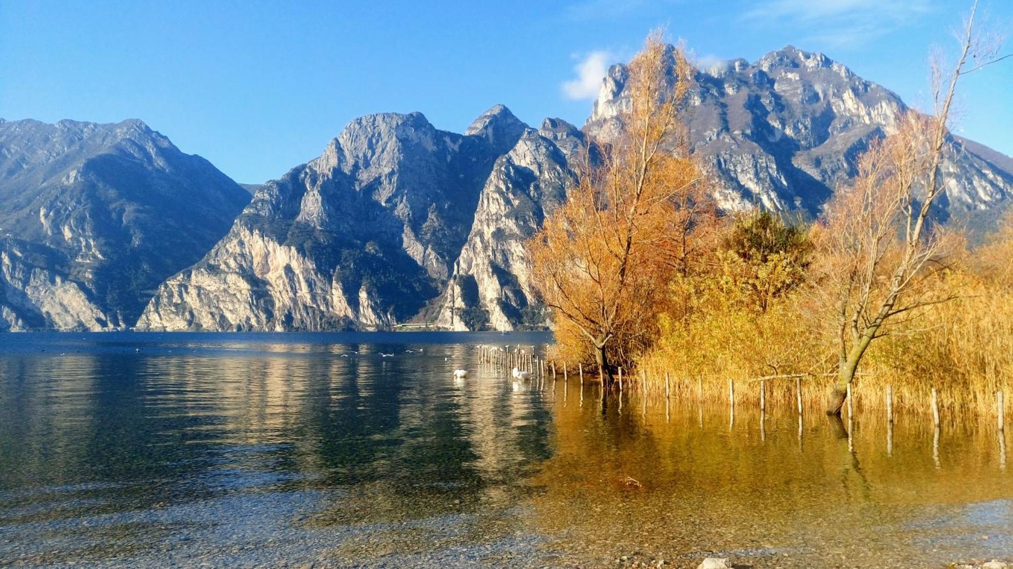 Casa Fiorella Torbole Sul Garda Bagian luar foto